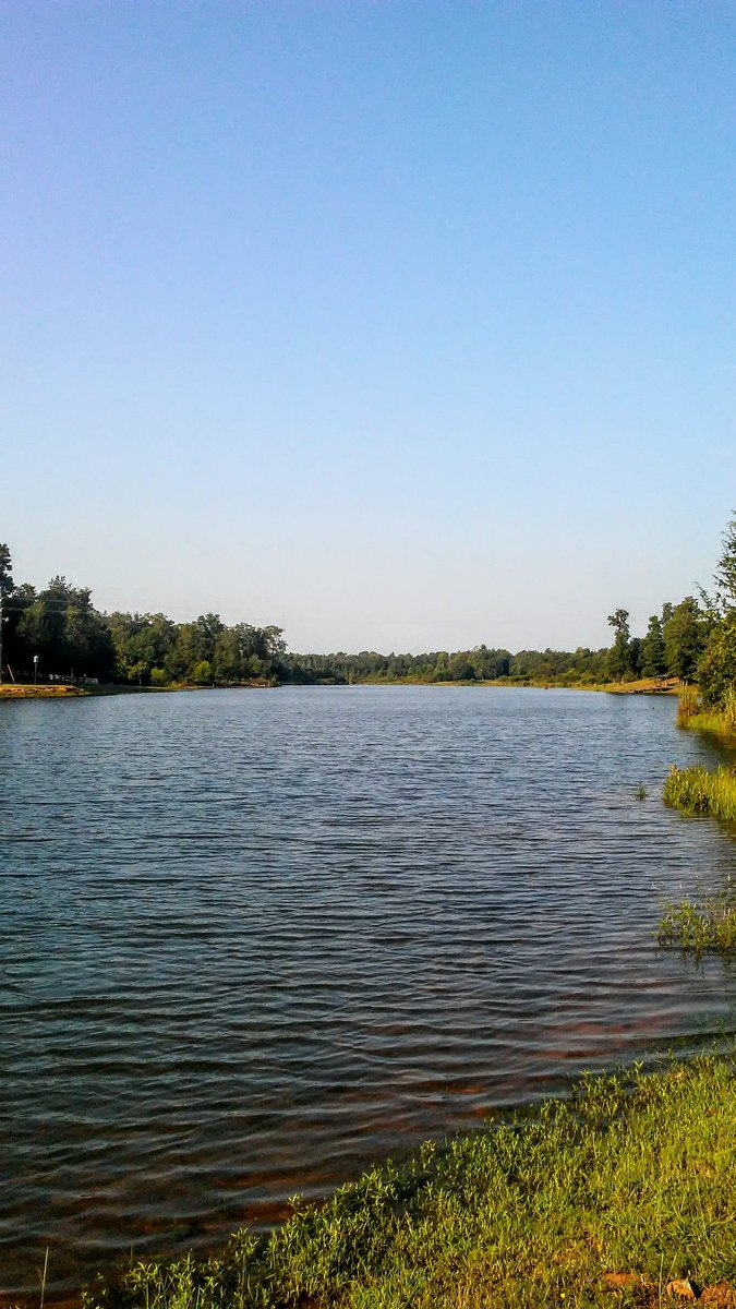 ColbertDorie tweet picture