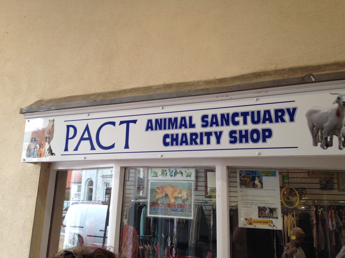 PactsAuction tweet picture
