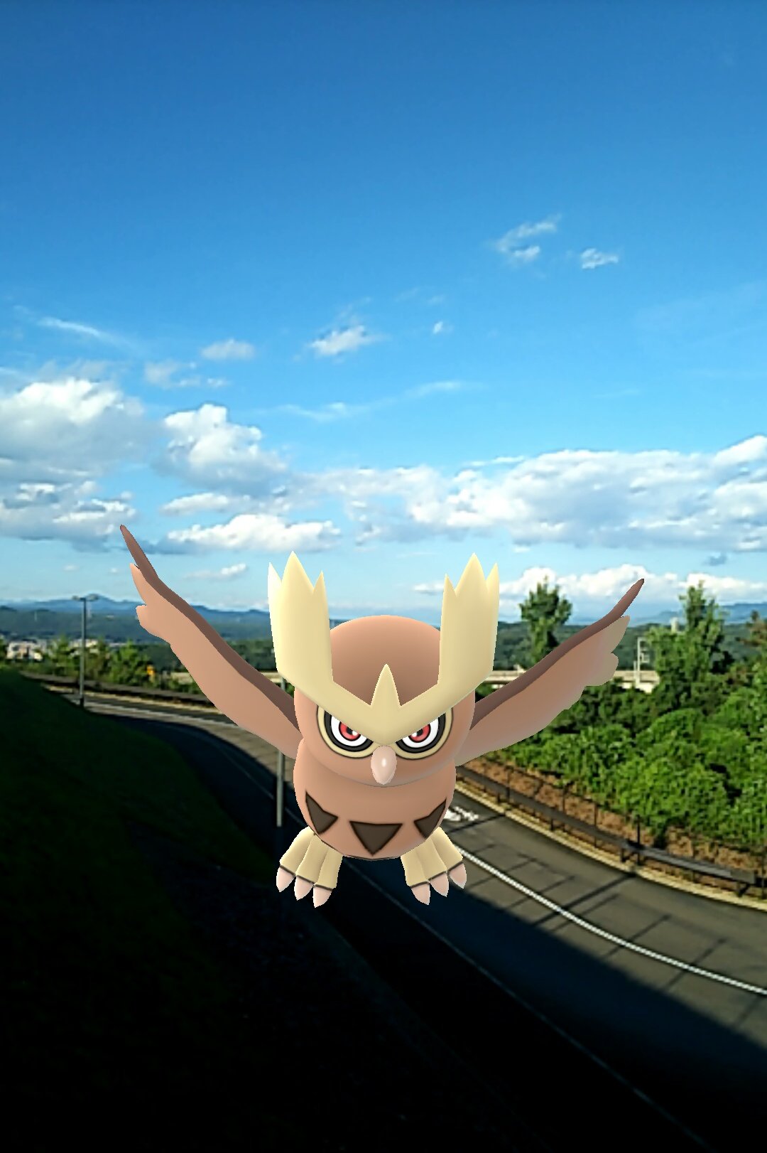 のんちゃん 夏の空より 舞い降りる 伝説の影に賢者あり ポケモンgo ヨルノズク Nnrrpicpoke T Co Tfvtcjlhet Twitter