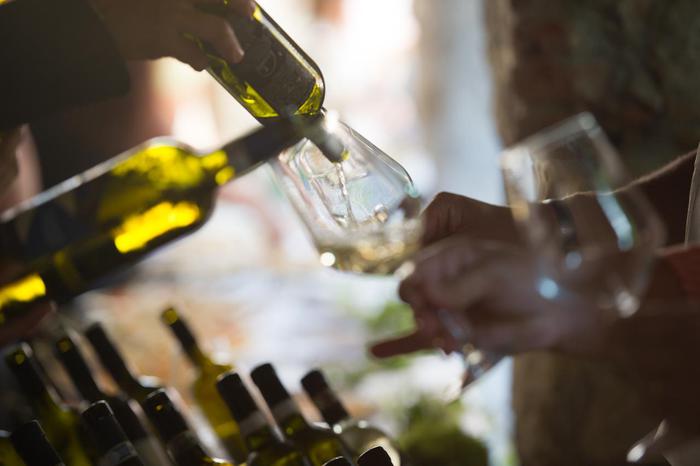 AlveareOrti's tweet photo. Vino:'Di Gavi in Gavi', 3 giorni tra cantine e chef stellati - Terra &amp; Gusto
https://t.co/aZhUTCSAcS https://t.co/pwCcvLXPAI