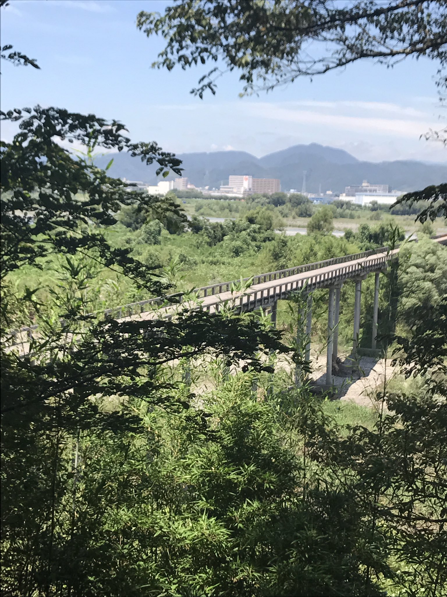 ちっくん 銀魂ロケ地 蓬莱橋 静岡 八木秀にてうな重 T Co D0s5ttmtav Twitter