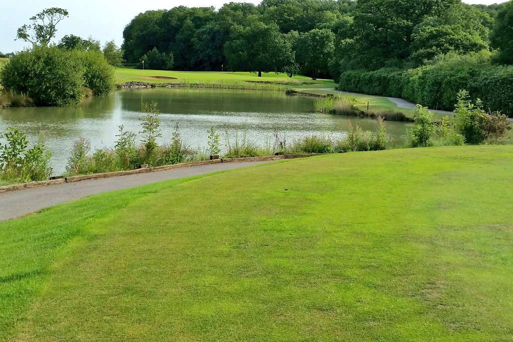 RichieR40067446's tweet photo. ⛳ #ThursdayThoughts all #Advertise your #business direct @ https://t.co/ImFN2CBi6X bringing #Growth your way @generation_golf we #PromoYou⛳. https://t.co/sF4w5hB367