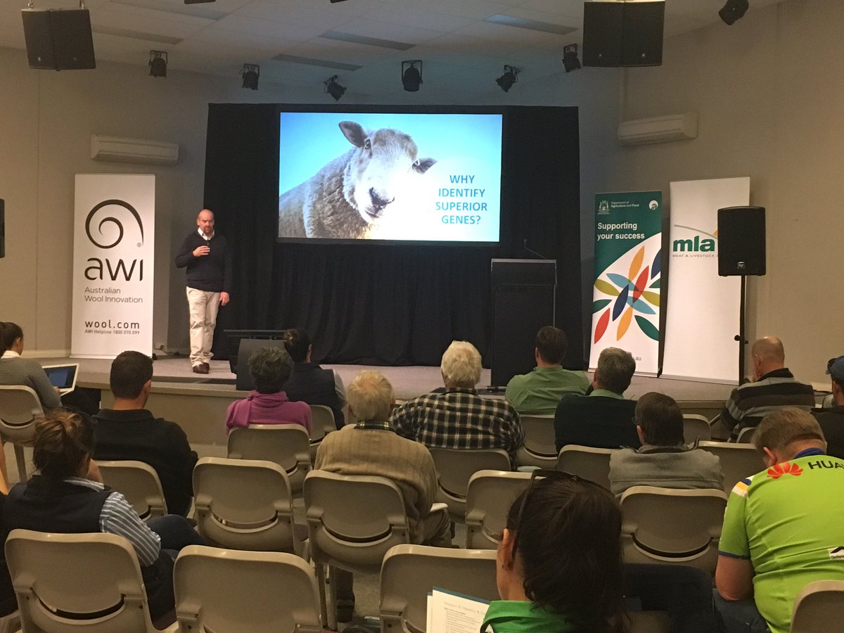 Clara Bradford (@claracollison) on Twitter photo <a href="/Dan_dbrown2/">Daniel Brown</a> delivering a compelling genetics talk to producers and breeders at the Northam 'its ewe time forum' WA <a href="/Dan_dbrown2/">Daniel Brown</a> delivering a compelling genetics talk to producers and breeders at the Northam 'its ewe time forum' WA