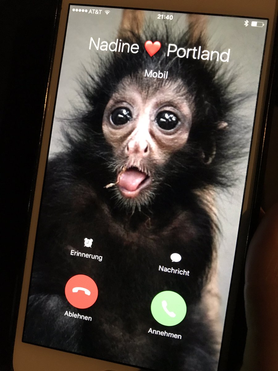 NAngerer's tweet photo. This happens when I try to call my wife. 🤔😂😂😂 #LoveIsLove https://t.co/a7yk9qNEhd
