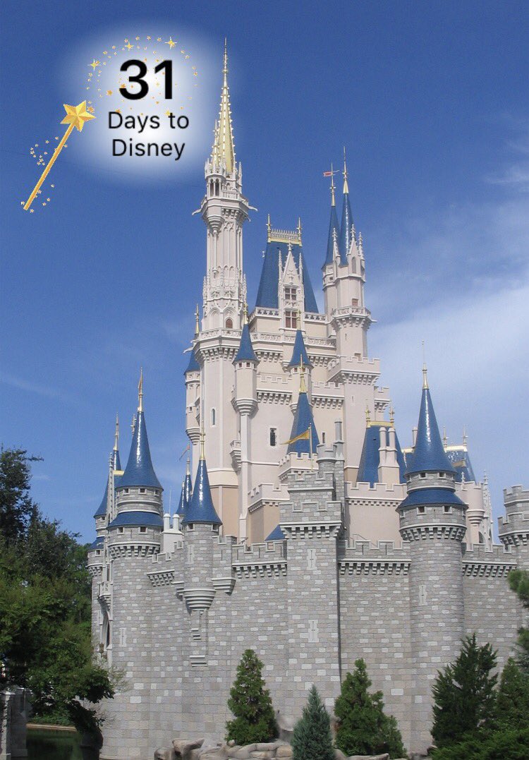 disneymebloggin's tweet photo. That's it @WDWToday, we're 1 month away from our trip. We're so excited β¨ #disneyworldcountdown #wdw https://t.co/mk8sU4e0x8
