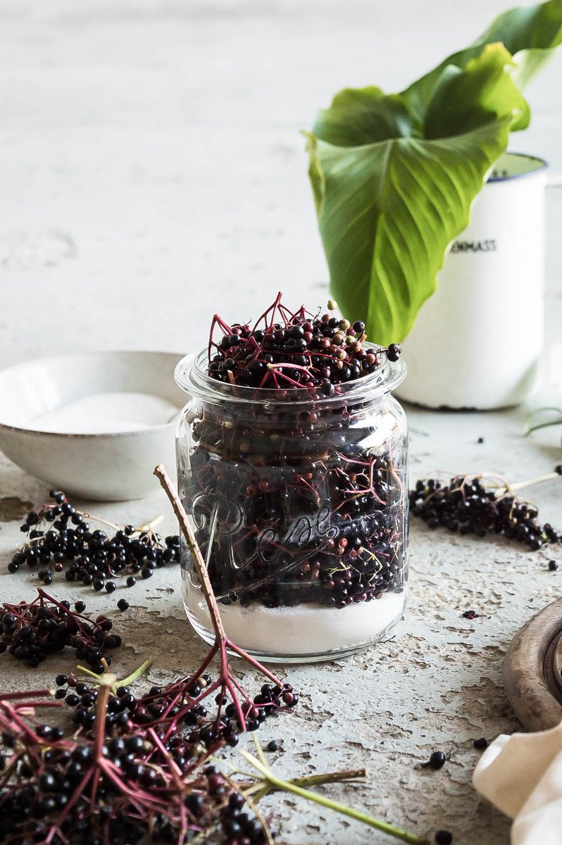 aboutverena's tweet photo. Schon das neue Rezept entdeckt? Auf dem Blog gibt es endlich Hollersirup zu entdecken: https://t.co/m0nD6eJEmt #recipe #autumn https://t.co/ZMZ1P08vpB