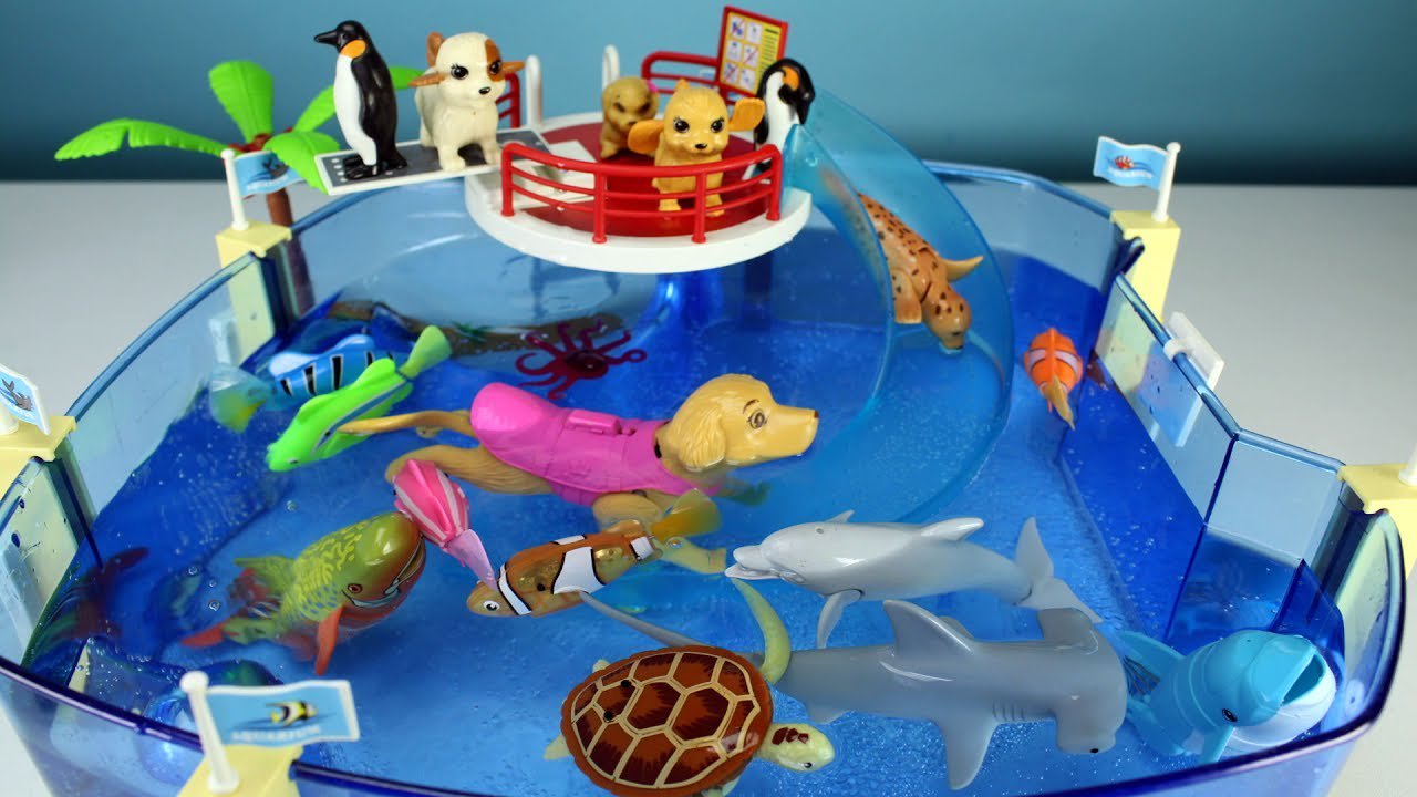 Race toy time sea animals 2025