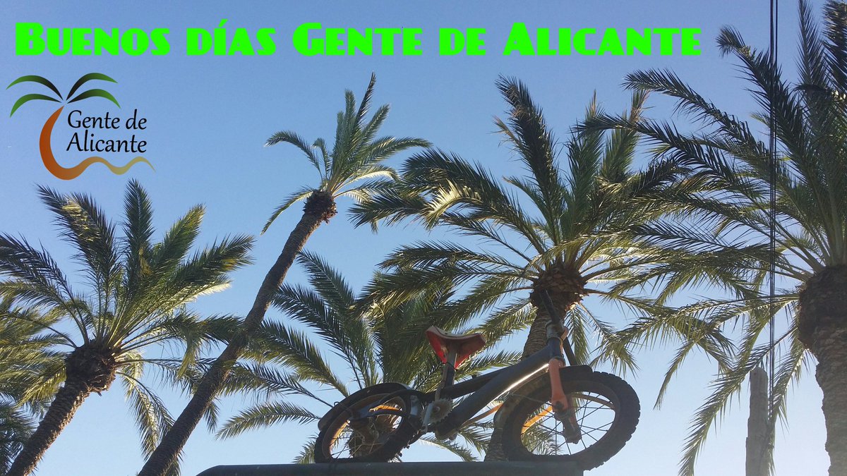 gentedealicante's tweet photo. Muy buenos días #GentedeAlicante 🌴 #FelizJueves. Este fin de semana llega @lavuelta a nuestra Provincia. #Lamillorterretadelmón #lavuelta https://t.co/HDKa8bj82F