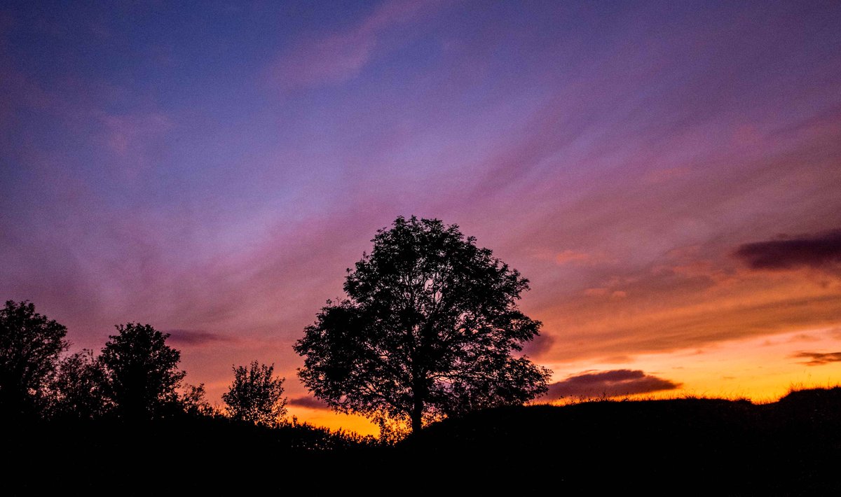 Snapperlen's tweet photo. Lovely sunset at Ham Hill last night.. #Somerset https://t.co/njEYi6rKYs