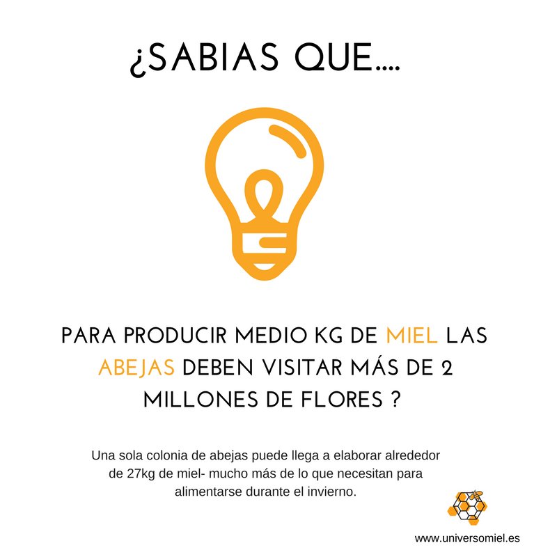 #FelizJueves!! Descubre más maravillas de la Colmena en universomiel.es
