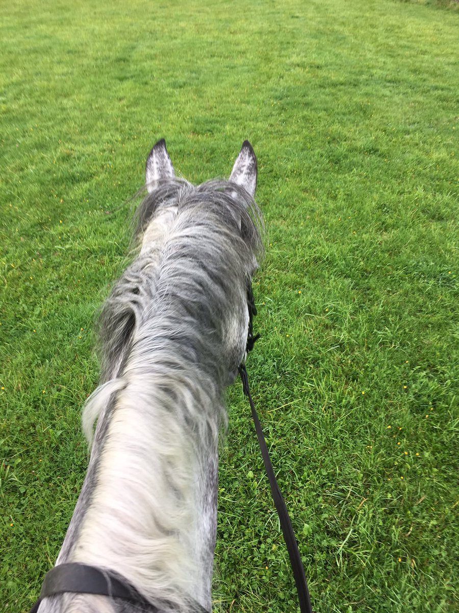 #chillinghack #eventer