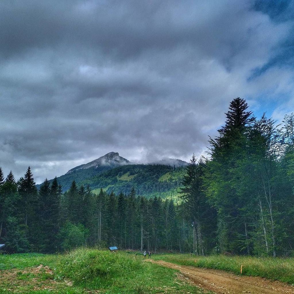 Sharahbia's tweet photo. Une chose est sure, il va falloir revenir en Chartreuse :)
.
.
#TeamCimalp #AltraRunning #TRGV #TrailRunning #Char… https://t.co/s3gegn4iZE https://t.co/megPPQ5Upu