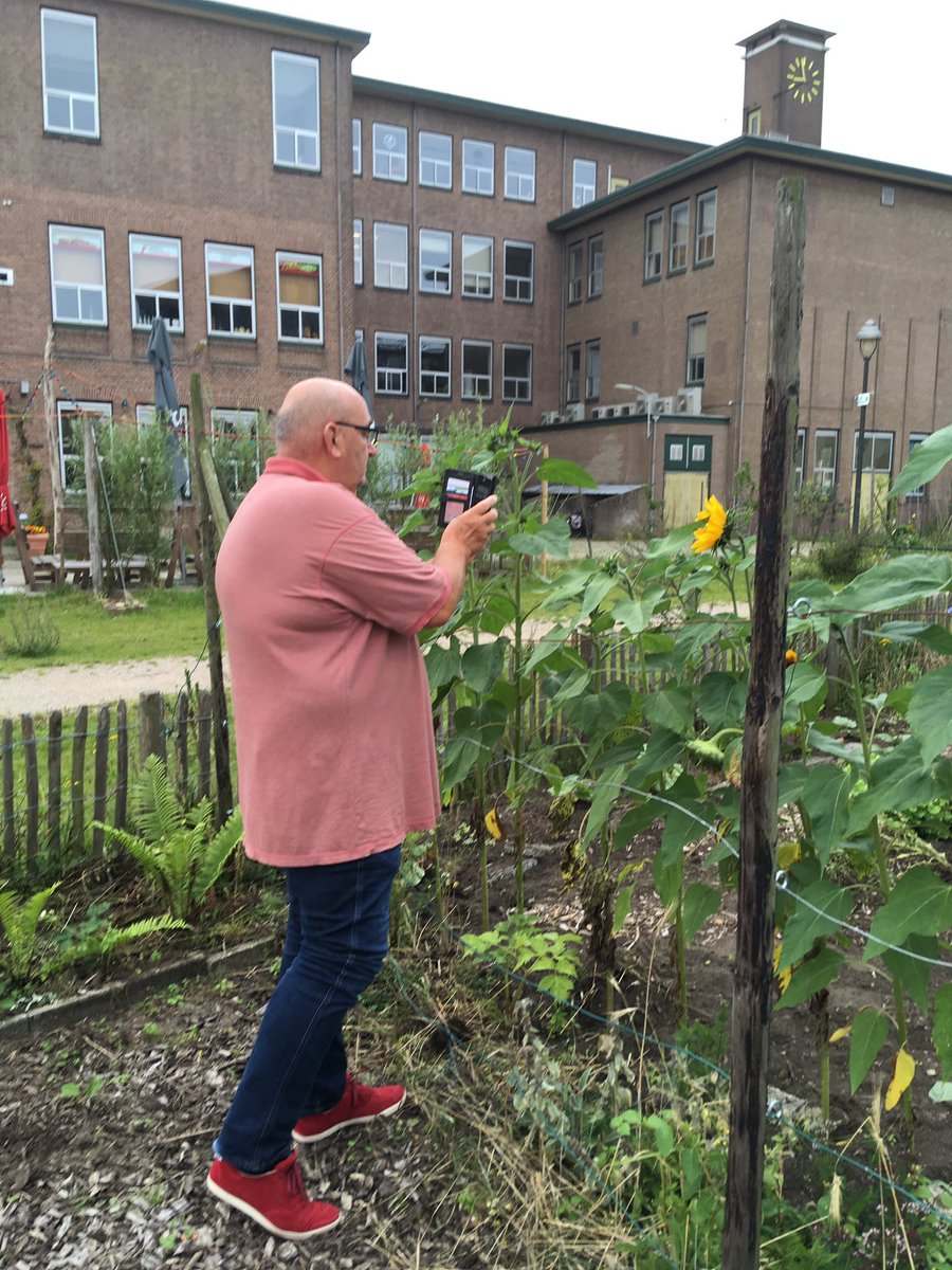 055_samenwerken's tweet photo. Voorzitter buurtcommissie inspecteert de moestuin achter Omnizorg. Staat er goed bij. #groenverbindt https://t.co/5XRfemItPC