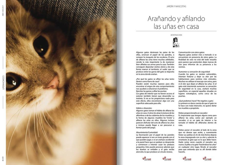 LIFEINHOME.ES tweet media