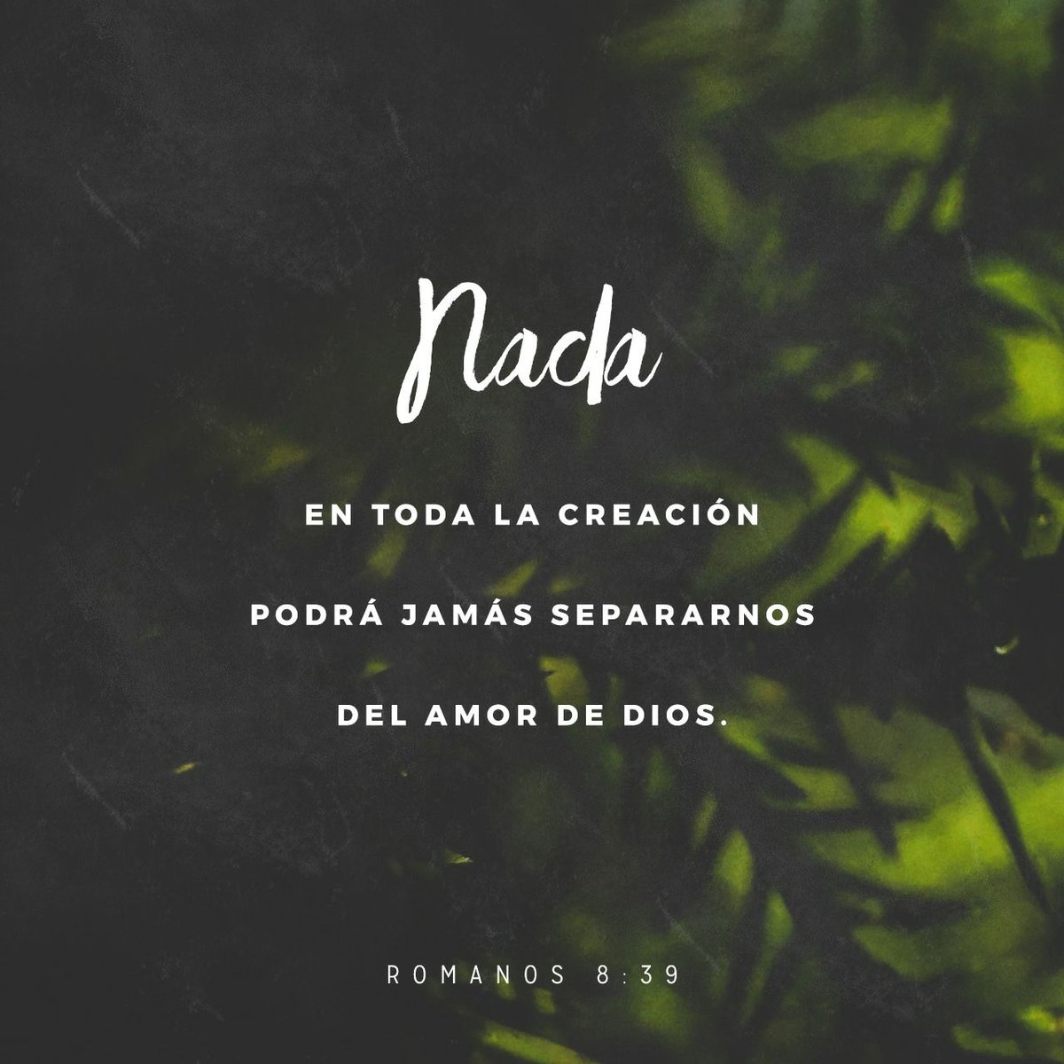 Eliasmna's tweet photo. ni lo alto, ni lo profundo, ni ninguna otra cosa creada nos podrá separar del amor de Dios, que es en…
https://t.co/XYKpepHqP1 https://t.co/YDrb1L4vmD