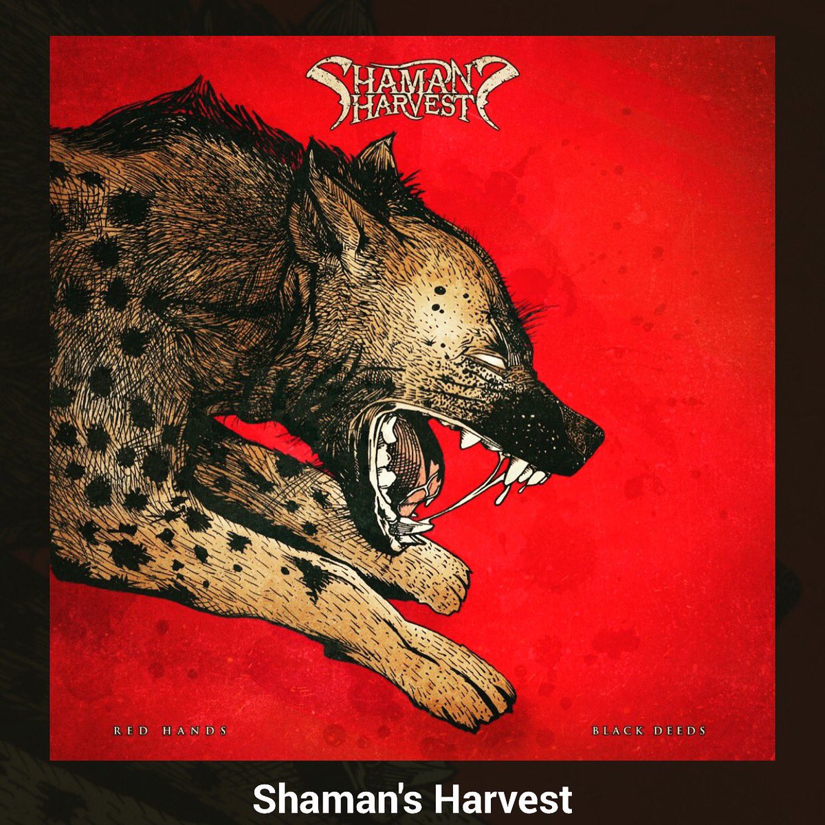 johngilliam71's tweet photo. Today's #MusicForTheRideIn is from @shamansharvest and their new album #RedHandsBlackDeeds https://t.co/FcBUrsNIX9