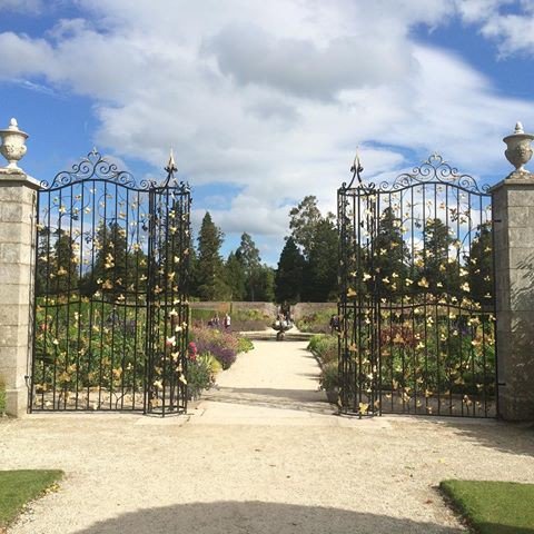 Decowell Restoration tweet media