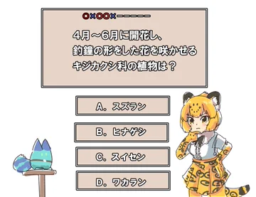 画像 / Picture