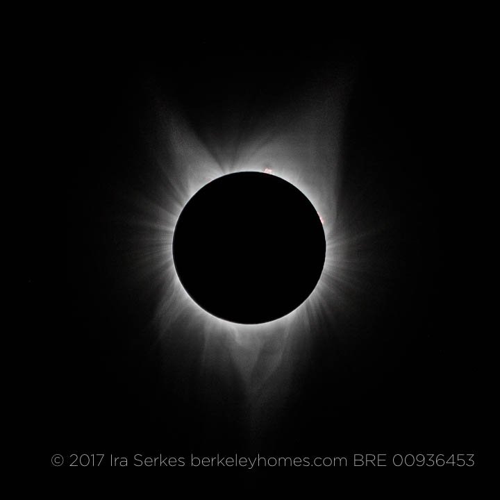 serkes's tweet photo. #eclispe2017 #CNNEclipse #SolarEclipse2017 #FoxFace @berkeleyside https://t.co/Rwi7wcbvdh
