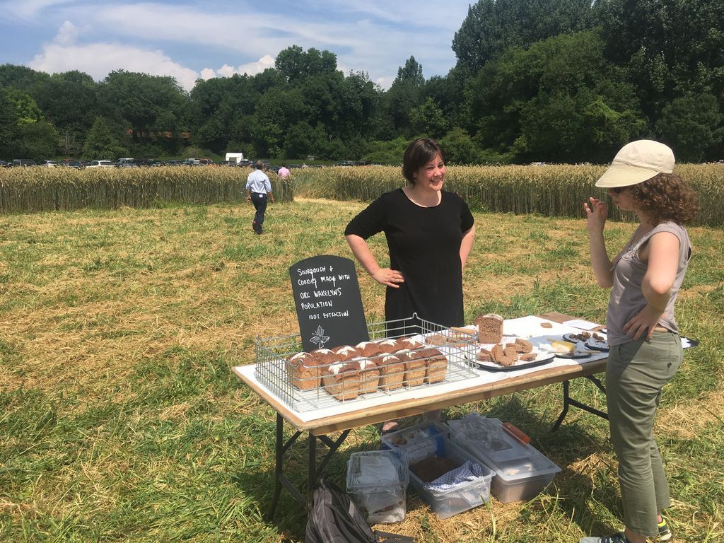farmerama__'s tweet photo. We must connect farmers & bakers to rethink how we make bread! Enter @josiahfood @Hodmedods live at #NOCC17 > (8.40) https://t.co/IHWeKboUDR https://t.co/VPCoBGEIIK