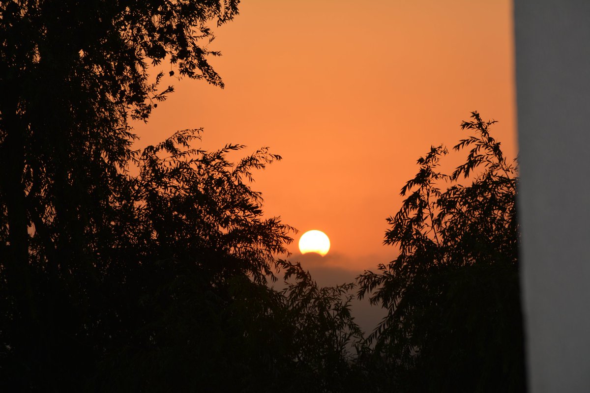VaPorMexicoX's tweet image. RT joana_rmfr: Partial #SolarEclipse2017 in Lisbon, Portugal #EclipseSolarCSIC CSIC NASA esa  Via #CSIC