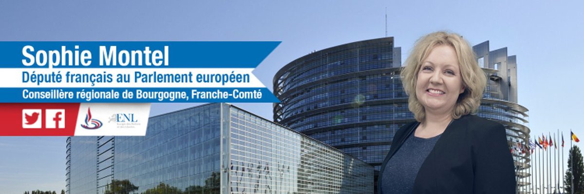 La grosse Fake News du jour de @Sophie_Montel :

l'UE va imposer la baisse du SMIC.

C'est moche de mentir...

#JeSuis1Facho #FranceInfo