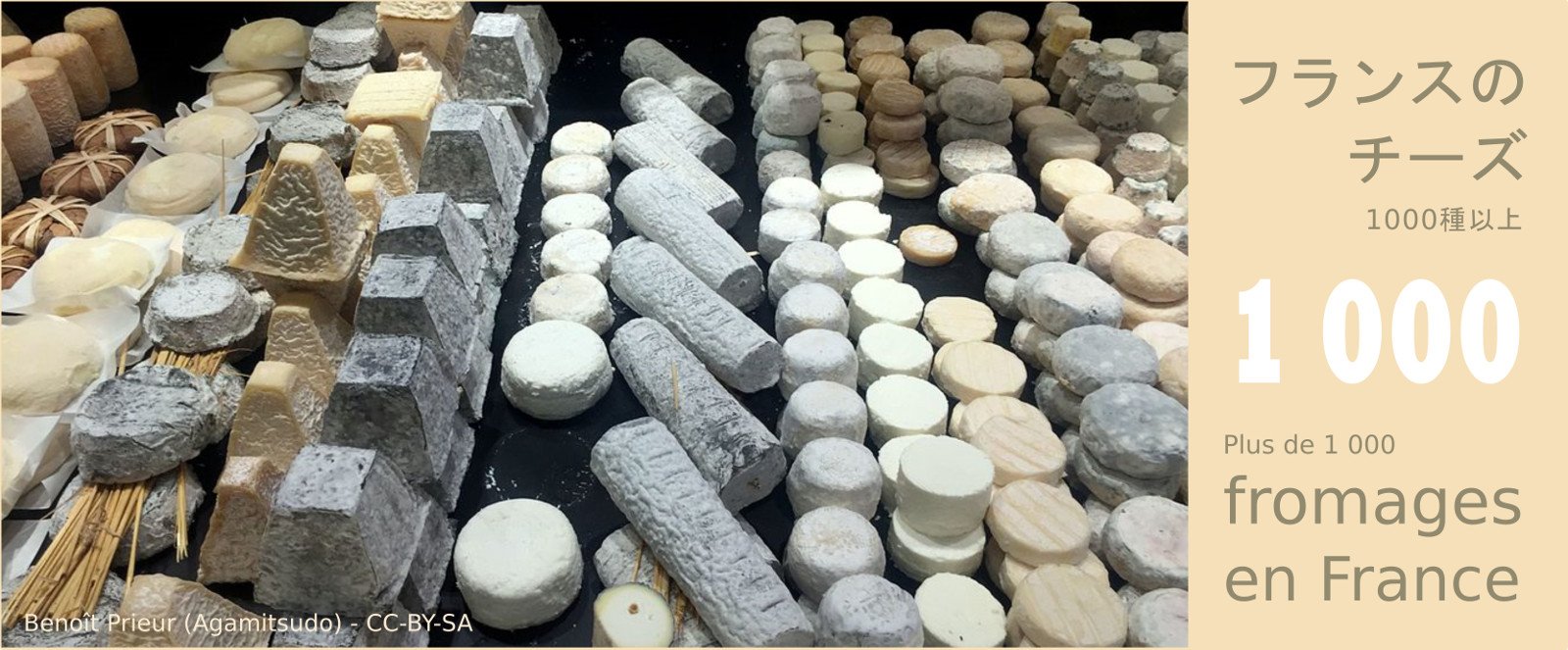 フランス大使館 今日の数字 フランスには何種類のチーズ があるでしょう かつてシャルル ド ゴール大統領はフランスを 300種類のチーズがある国 と称して フランス美食の多様性を端的に表しましたが 実際には1000種類以上のチーズがあります