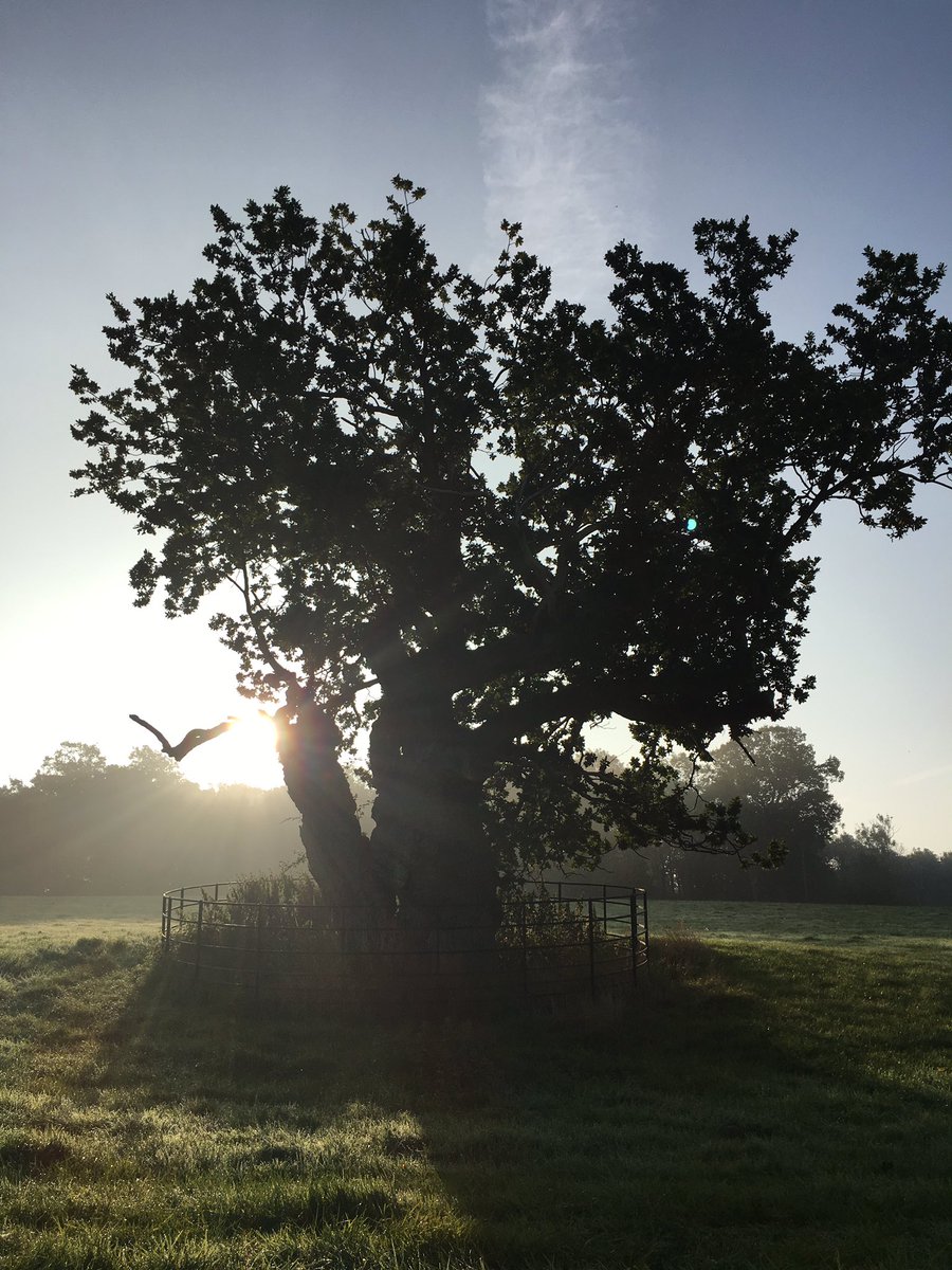 HeloiseHorton's tweet photo. The Queen's Oak, Huntingfield. Worst. Pub. Ever. #seenonmyrun #SuffolkProblems https://t.co/zwrp2feSpI