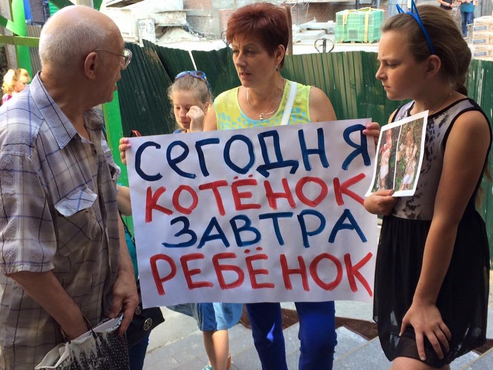 kormotechsocial's tweet photo. Резонансний злочин: у столиці катують кошенят! Зоозахисники змусили правоохоронців розпочати слідство. Деталі тут - https://t.co/0B3iESyo7z https://t.co/aiTexFagx6