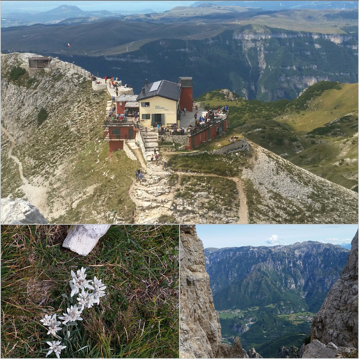 TrentinoGo's tweet photo. Uno splendido ed impegnativo #sentiero da Ronchi(Ala) al Rifugio Fraccaroli #piccoledolomiti #carega @VisitTrentino https://t.co/GnMmN5BqNh https://t.co/lI6lh6Qpjb