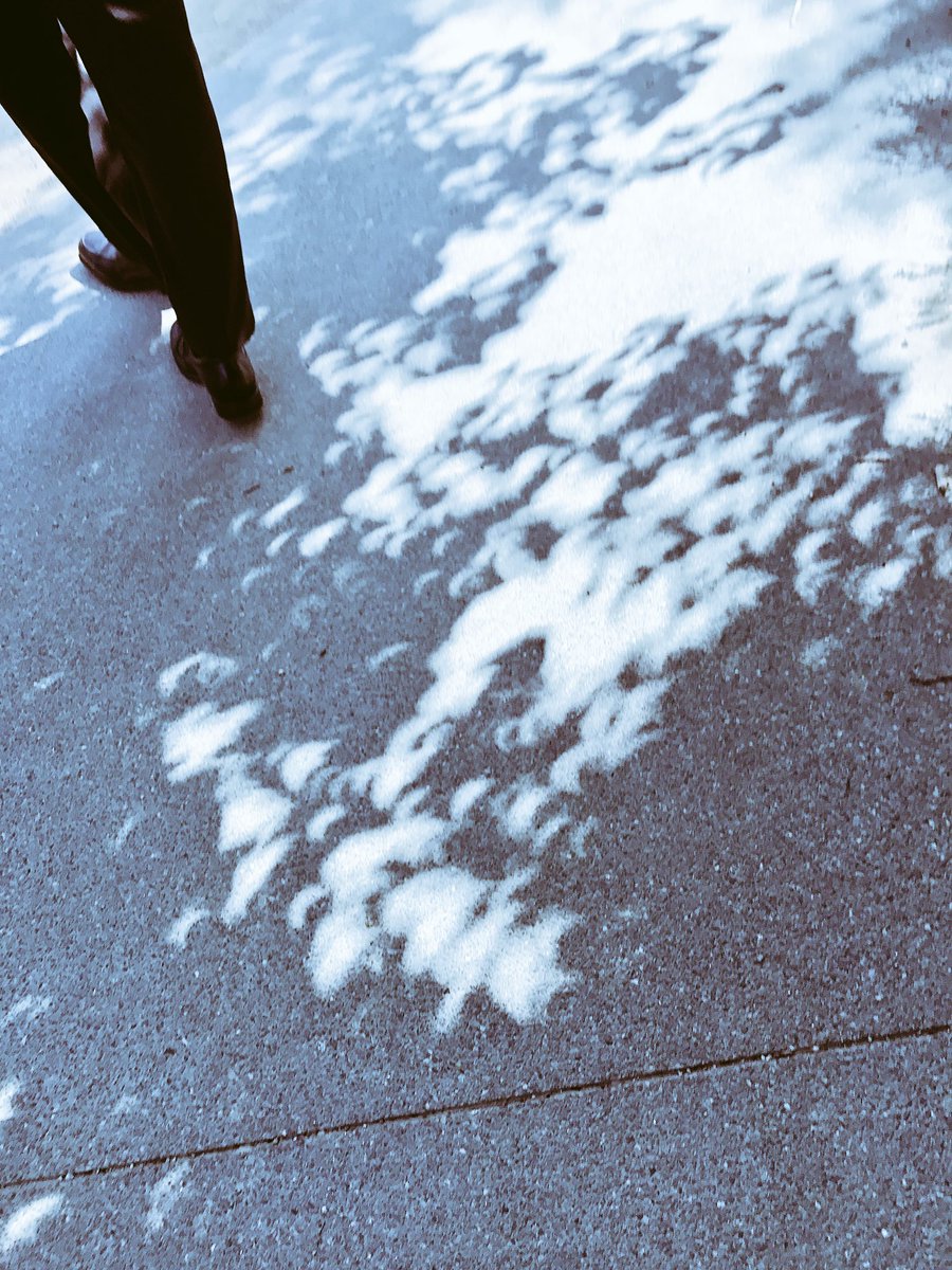 michelebraphael's tweet photo. How I watched the eclipse. #HowDoYouMuseum #NaturalHistoryMuseum #LosAngeles #Community #NatureGarden #CrescentSun #SunShadows #SolarEclipse https://t.co/VppicR8GAs