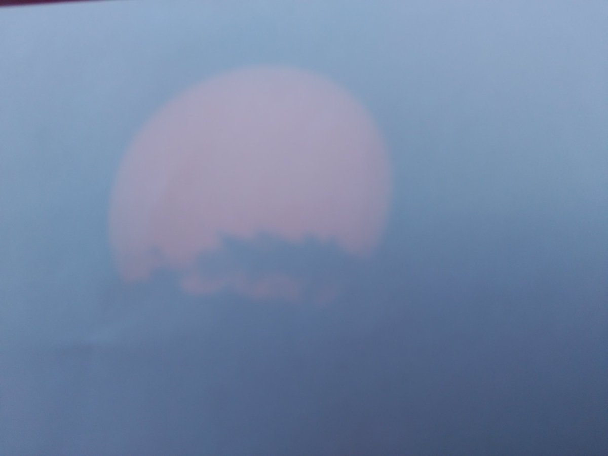 onlyastrophoto's tweet image. El final del #eclipse fue espectacular con la sombra de los árboles de la montaña tras la que se puso el Sol #EclipseSolarCSIC #sunset