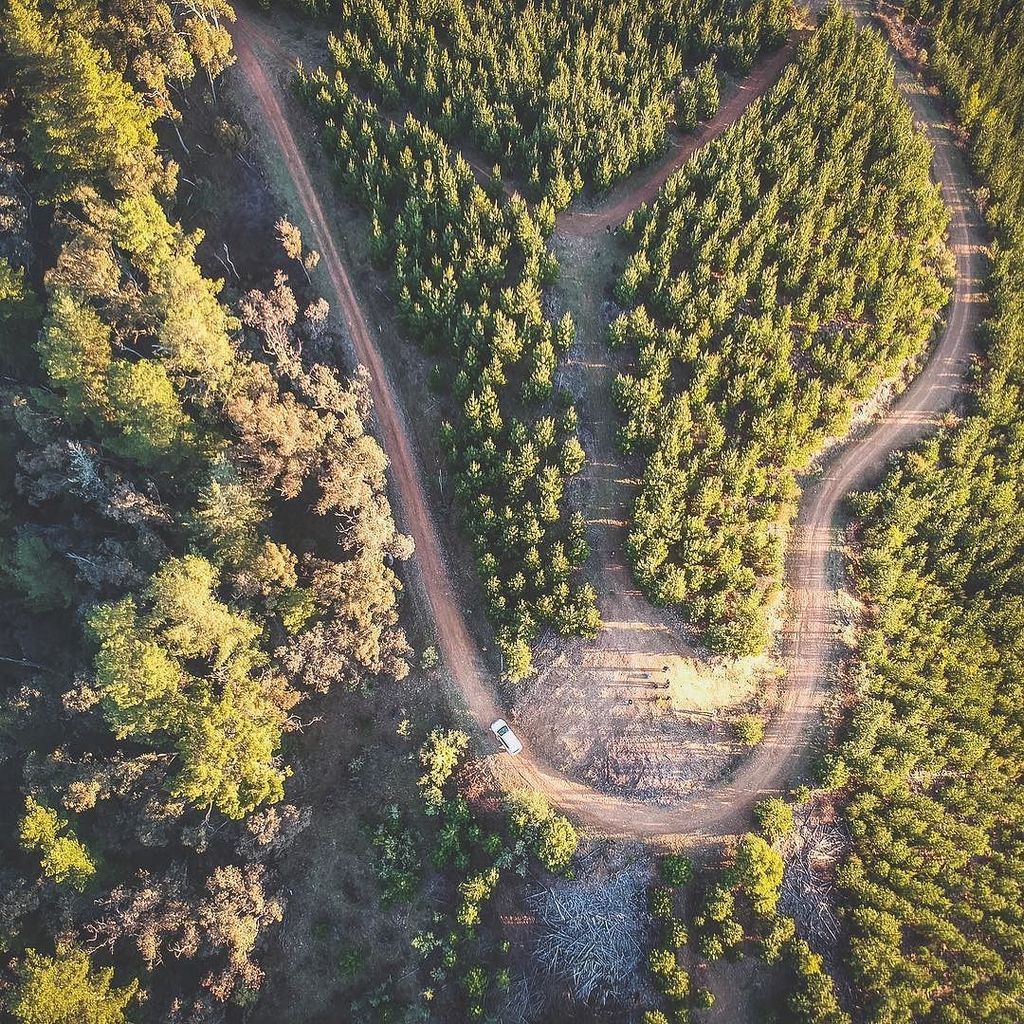 thegojetter's tweet photo. One of the many pine plantations around the beautiful Bright Valley
Loc : Bright, Victoria
••••••••••••••••••••••••••••••••••••••
#fromwher… https://t.co/9auarTToHP