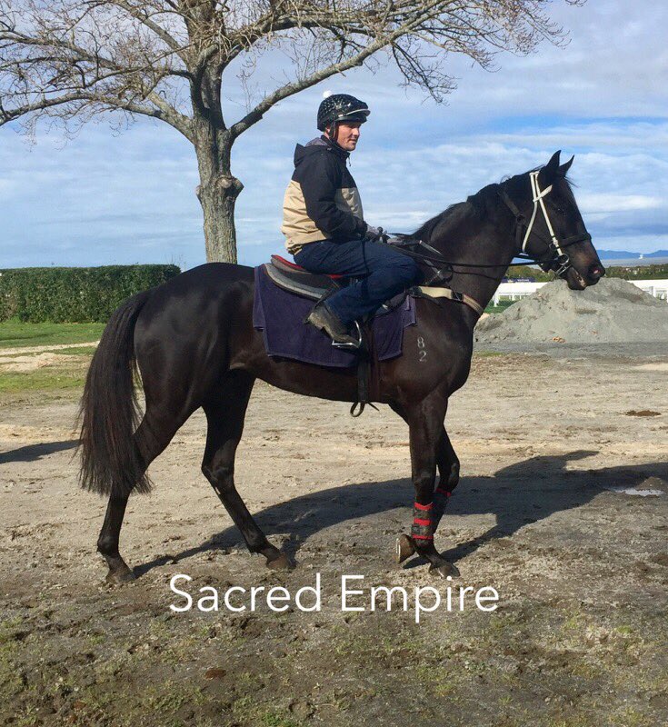 RafflesRacing's tweet photo. Our 2 SACRED ones out @TeRapaRacing trackwork this morning. Can't wait 2 c them back racing! #BigTargetsThisPrep #SACREDREBEL #SACREDEMPIRE https://t.co/X3bs4KPbQC