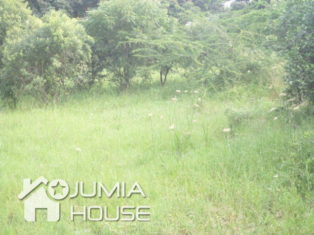 PropertyRahaTZ's tweet photo. Kiwanja cha square mita 1062 kinauzwa Salasala/Kunduchi kwa bei ya TZS 90,000,000/-. Wahi sasa kununua: https://t.co/EcCUn4V6NK https://t.co/A3infpQx9c