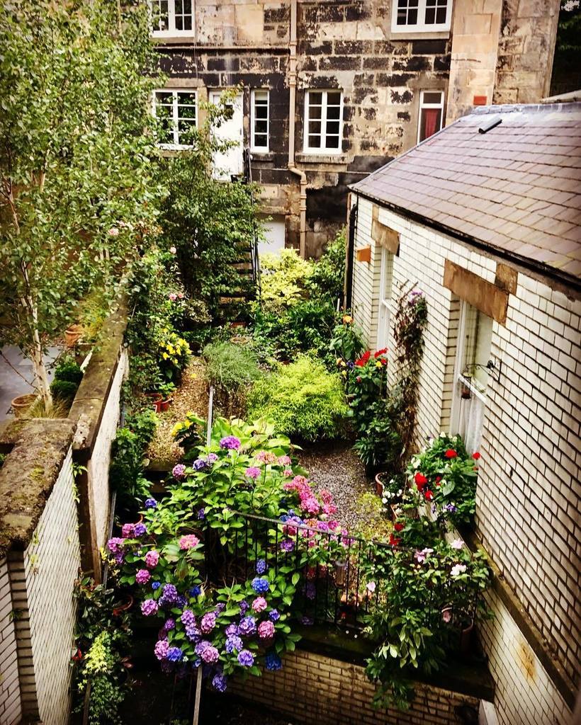 I don't know whose garden this is but I love waking up to it! #ScottishGarden #scotlandlover #glasgow #scotland #g… ift.tt/2vZfw4U