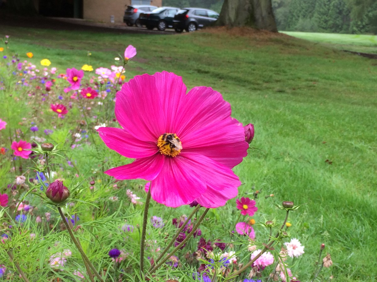 Little Aston GC (LittleAstonGolf) Twitter