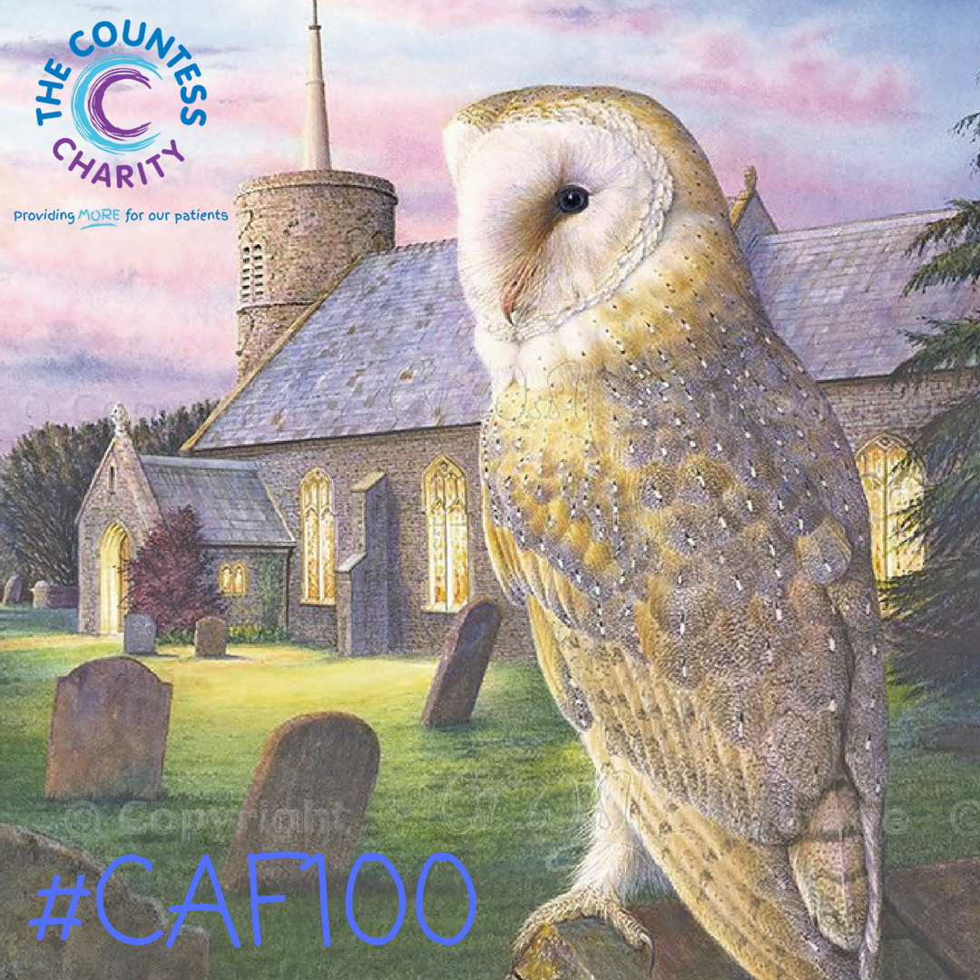 chesterartsfair's tweet photo. Follow us on #Instagram and see the #artwork donated by our #CAF17 #artists for #CAF100, including Amazing Grace by Colin Woolf, £95.00 https://t.co/Iint6QAcwt