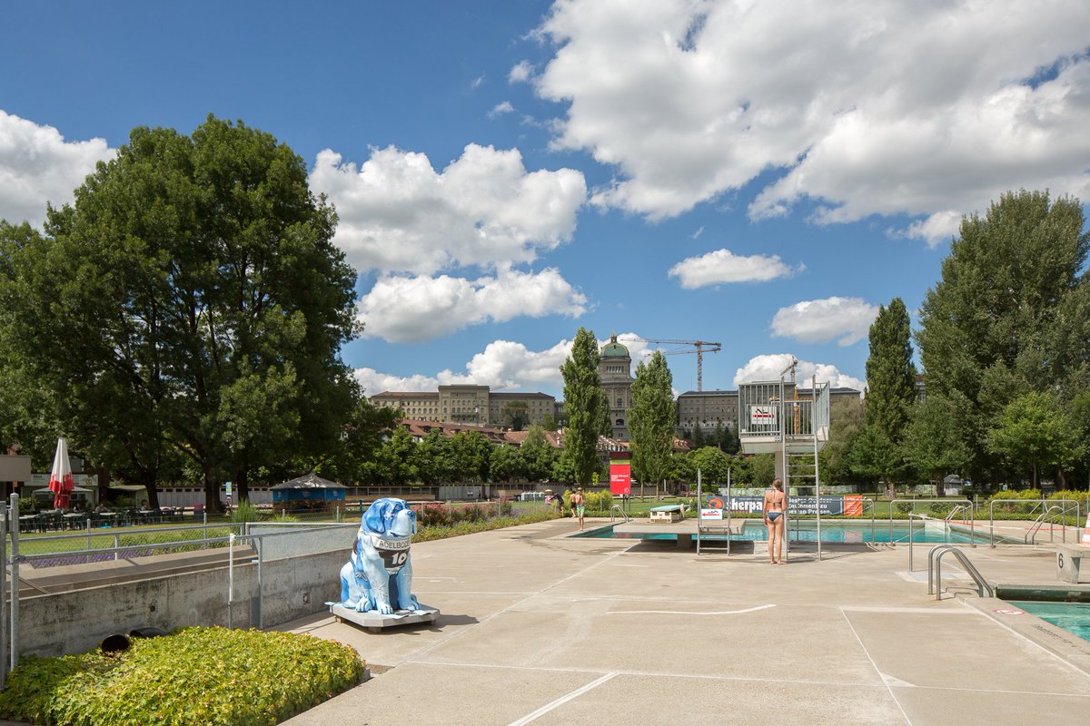 bernartiner's tweet photo. Der #BernARTiner​ von @adelboden18 geniesst eine frische Abkühling im #Marzili #Bern 🏊 https://t.co/otS8PsK7wc