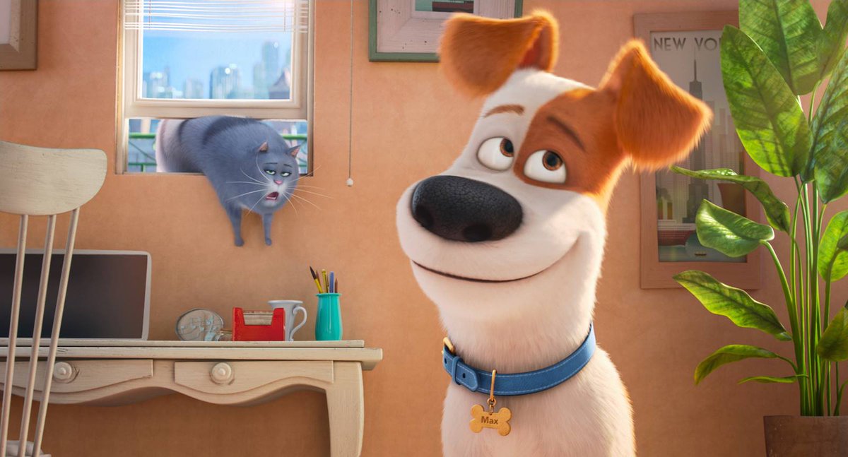 PetsIlFilm's tweet photo. Questa sera dalle 21.15 su @Premium_Cinema tutti sintonizzati per #PetsIT - #VitaDaAnimali! https://t.co/skNAUyaJ6C
