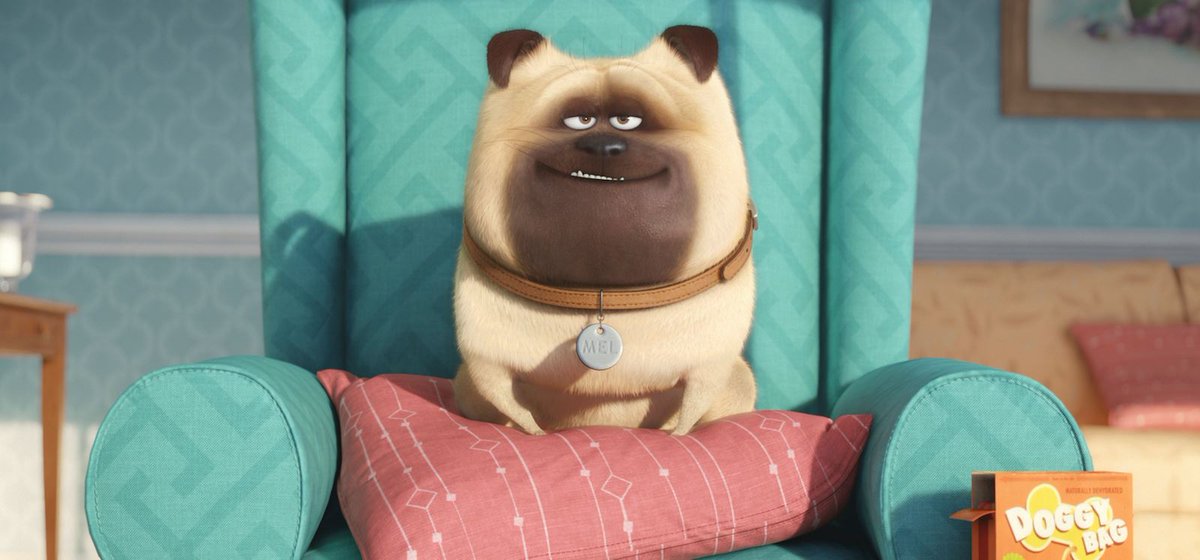 PetsIlFilm's tweet photo. Mettetevi comodi davanti alla tv. 🛋 
Su @Premium_Cinema sta per iniziare Pets - #VitaDaAnimali! 
#PetsIT 🐶🐱🐰 https://t.co/GisljQQ8Xe