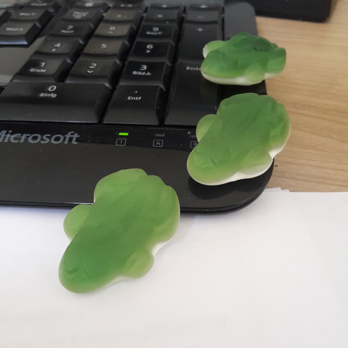 anne_hasler's tweet photo. Invasion at work.
#frogattack #frogocalypse https://t.co/vGCXDb63ru