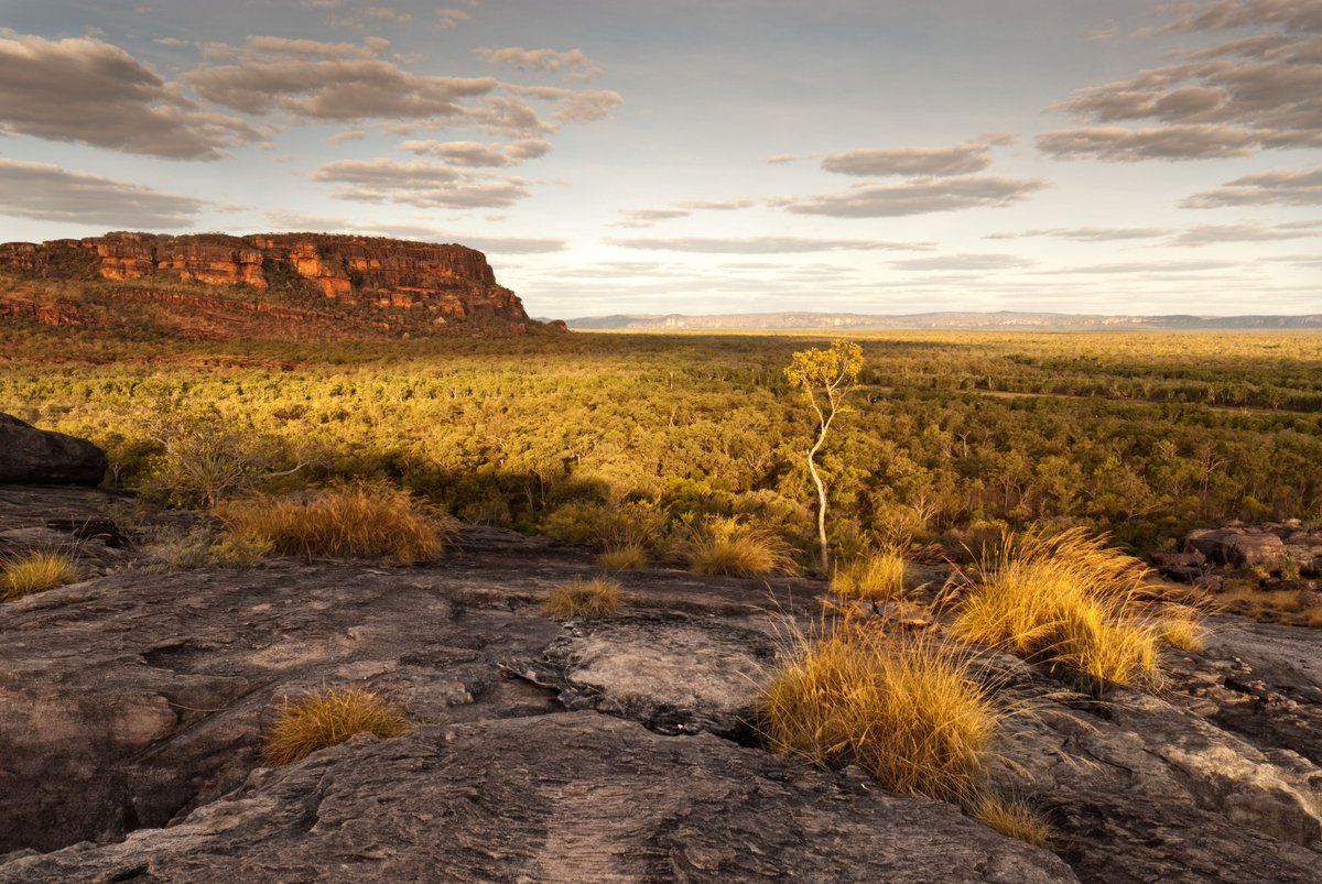 CInsolites's tweet photo. Nouvelle destination Continents Insolites : l'Australie ! 
#Australia #tourism https://t.co/9LNX2g6JUp