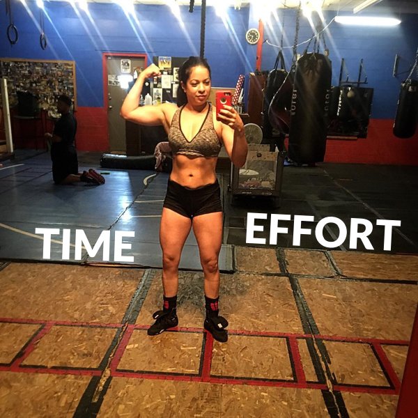 Gym Plan tweet media