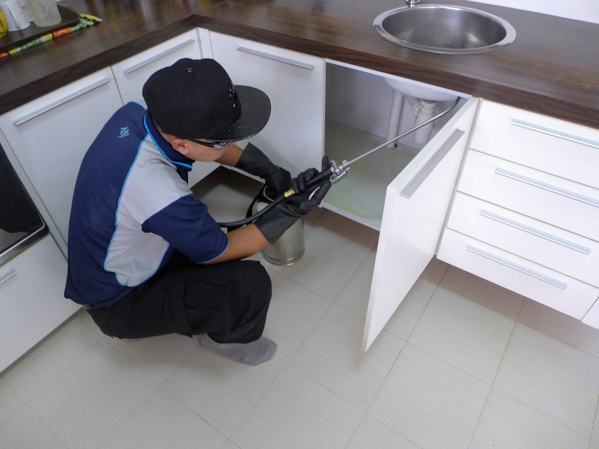 PinPointPerth's tweet image. The technicians and the company you hire for pest inspections are important. Choose the right fit. ow.ly/y9sV30deyZY  #Home #PerthAU