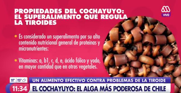 propiedades del cochayuyo para bajar de peso propiedades del cochayuyo para bajar de peso