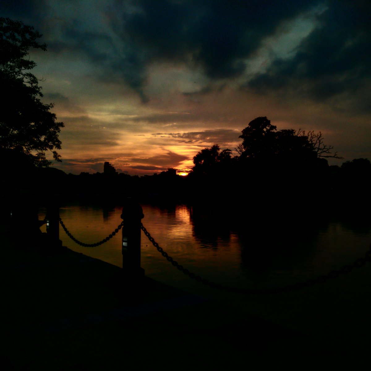 thelyricalbee's tweet photo. #sunset #Kolkata #India #naturephotography #natureatitsbest #love https://t.co/tMjZxzMDMM