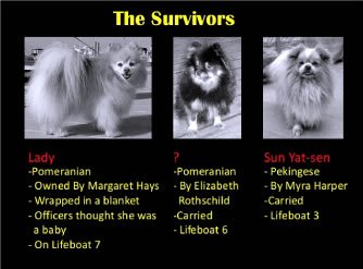 Fun Fact Tuesday: Three dogs from first class cabins survived the sinking of the Titanic – two Pomeranian's and one Pekingese.