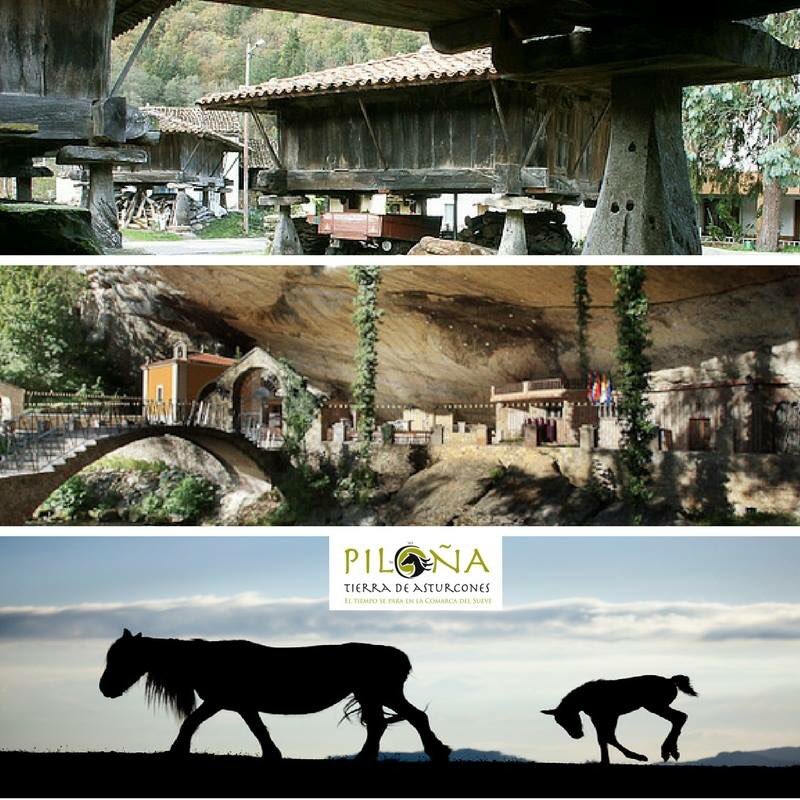 Tierra de Asturcones tweet media