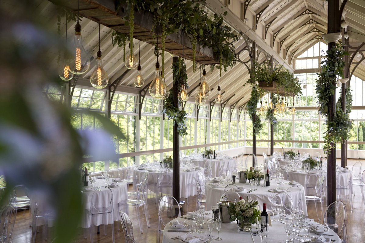 Festoon Lighting tweet media